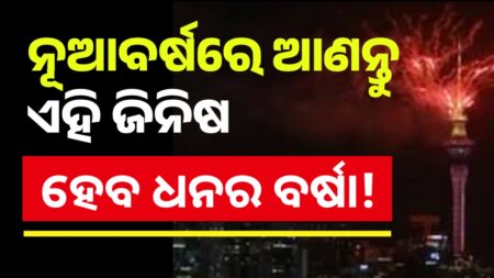ନୂଆ ବର୍ଷ ୨୦୨୫ରେ ଘରକୁ ଆଣନ୍ତୁ ଏହି ଜିନିଷ,ବର୍ଷସାରା ରହିବ ନାହିଁ ଧନର ଅଭାବ