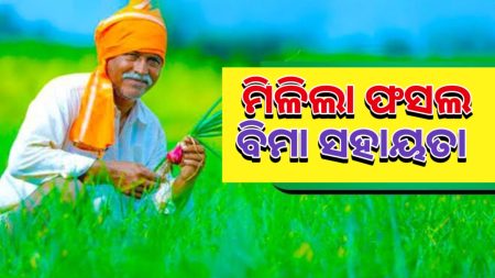 ୧ ଲକ୍ଷ କ୍ଷତିଗ୍ରସ୍ତ ପ୍ଲଟ ବାବଦକୁ ଚାଷୀଙ୍କୁ ଦିଆଯାଇଛି ୨୧ କୋଟି ୯୬ ଲକ୍ଷ ଟଙ୍କାର କ୍ଷତିପୂରଣ