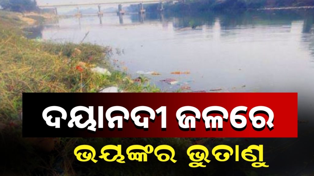 ଦୟାନଦୀ ଜଳ ସମ୍ପୂର୍ଣ୍ଣ ଦୂଷିତ,ଦୟାନଦୀ ଜଳ ଆଉ ବ୍ୟବହାର ଉପଯୋଗୀ ନୁହେଁ।