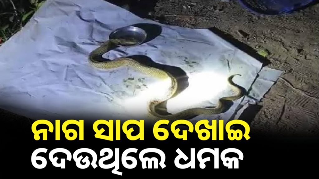 ନାଗ ସାପ ଦେଖାଇ ଫାଇନାସ୍ସ କର୍ମଚାରୀଙ୍କୁ ଅପହରଣ