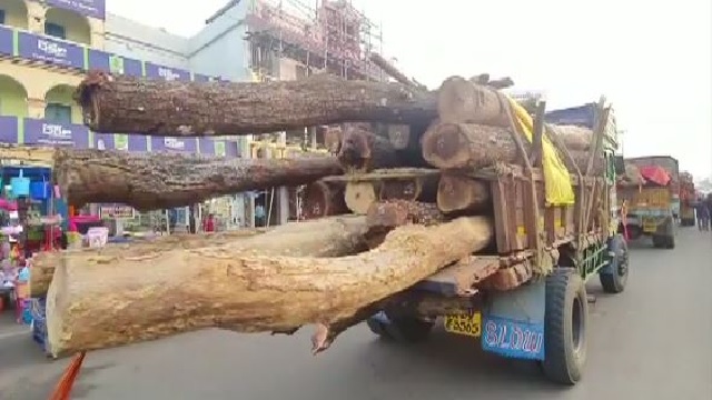 ପୁରୀ ଶ୍ରୀମନ୍ଦିରକୁ ବାହାରିଲା ପ୍ରଥମ ରଥ କାଠ ।