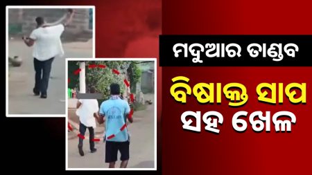ସାପକୁ ବେକରେ ଗୁଡାଇ ଯୁବକଙ୍କ ଆତଙ୍କ ।