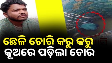 ଛେଳି ଚୋରି କରିବାକୁ ଆସି କୂଅରେ ପଡିଲା ଚୋର।