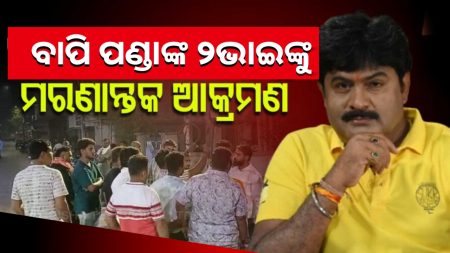 ଯାତ୍ରା କଳାକାର ବାପି ପଣ୍ଡାଙ୍କ ୨ଭାଇଙ୍କୁ ହାଣି ପକାଇଲେ ଦୁର୍ବୃତ୍ତ।