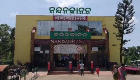 ଖୁବ ଶୀଘ୍ର ନନ୍ଦନକାନନରେ ପହଞ୍ଚିବେ ଅଷ୍ଟ୍ରେଲିଆର ରେଡ୍ କଙ୍ଗାରୁ