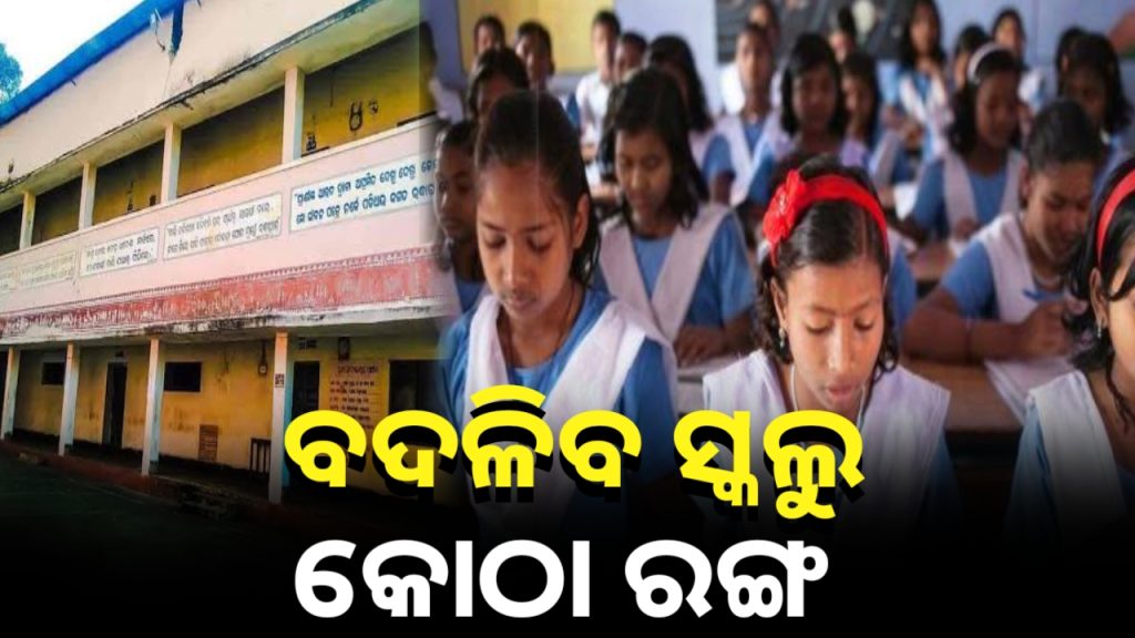ରାଜ୍ୟରେ ବଦଳିବ ସବୁ ସ୍କୁଲ କୋଠାର ରଙ୍ଗ ।