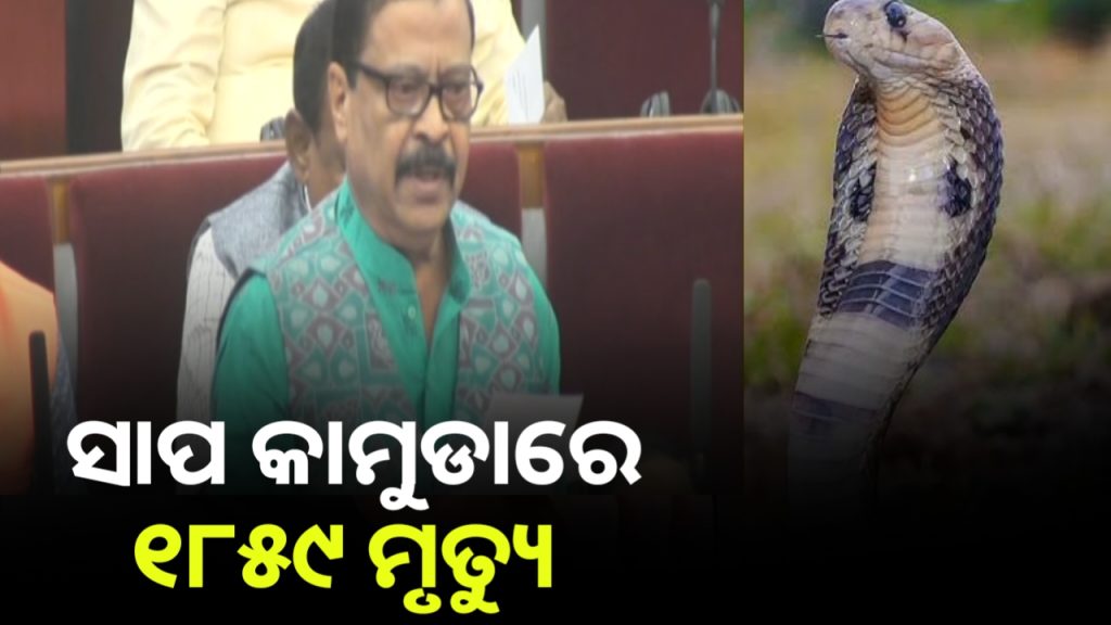 ଦୁଇ ବର୍ଷରେ ସାପ କାମୁଡ଼ାରେ ଗଲାଣି ୧୮୫୯ ଜୀବନ