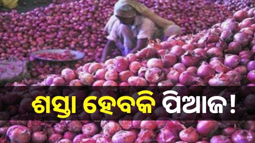 ପିଆଜ ରପ୍ତାନି ଶୁଳ୍କ ହଟାଗଲା ! ଜାଣନ୍ତୁ ସରକାରଙ୍କ କ’ଣ ରହିଛି ପ୍ଲାନ