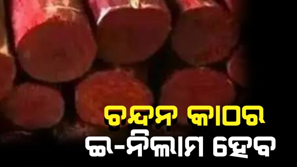 ୯ ଏପ୍ରିଲରେ ଲାଲ ଚନ୍ଦନ କାଠର ବିଶ୍ୱସ୍ତରୀୟ ଇ-ନିଲାମ।