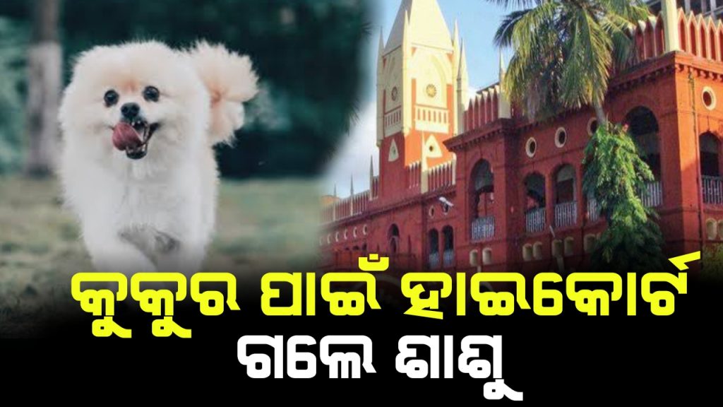 କୁକୁର ପାଇଁ ବୋହୂଙ୍କ ବିରୋଧରେ ହାଇକୋର୍ଟରେ ଫେରାଦ ଦେଲେ ଶାଶୁ