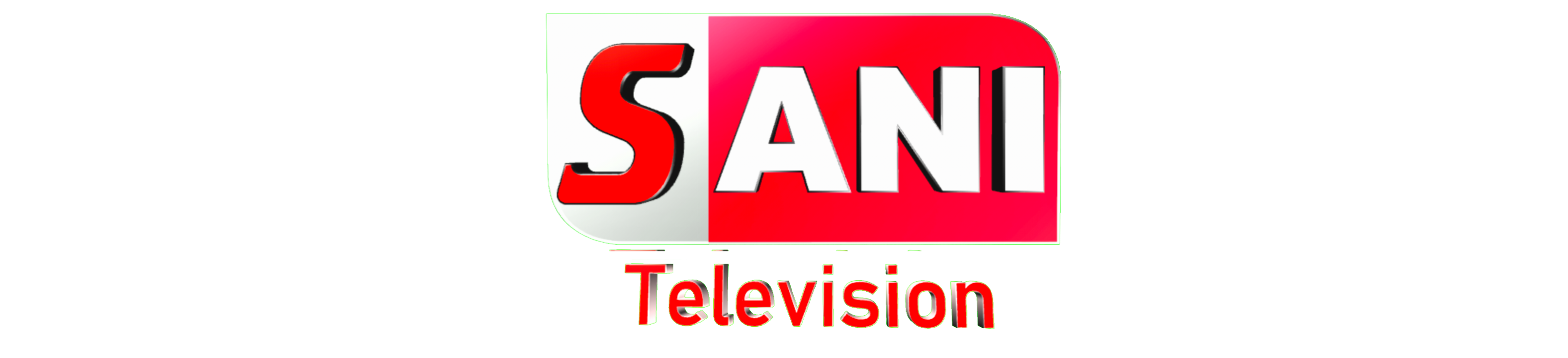 SANITELEVISION AGENCY