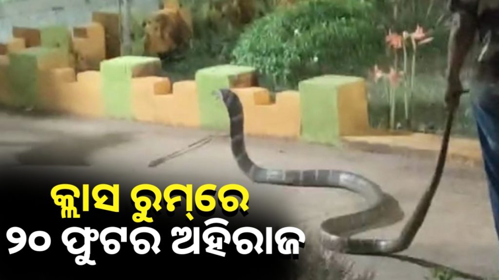 କ୍ଲାସ ରୁମ୍ରେ ୨୦ ଫୁଟର ଅହିରାଜ