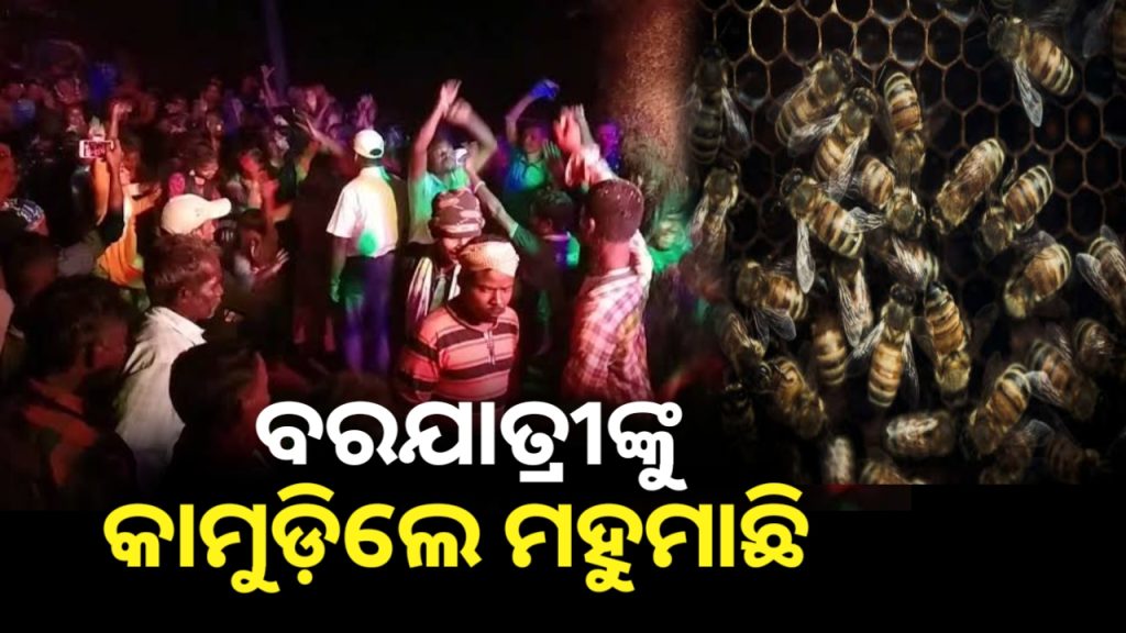 ବାହାଘର ବାଣ ଶବ୍ଦରେ ବରଯାତ୍ରୀଙ୍କୁ ଆକ୍ରମଣ କଲେ ମହୁମାଛି।