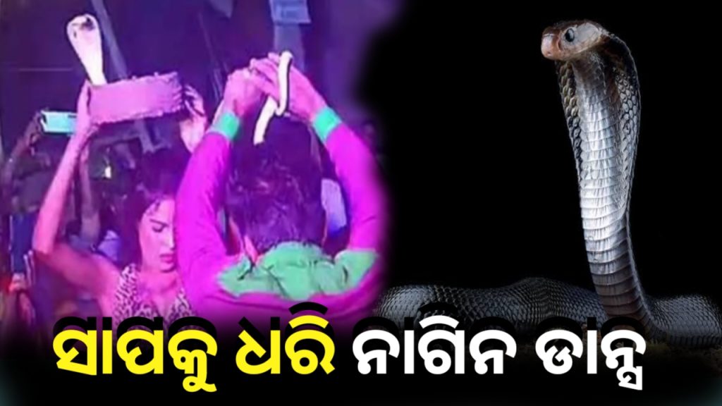 ବରଯାତ୍ରୀ ଶୋଭାଯାତ୍ରାରେ ନାଗ ଧରି ନାଗିନ୍ ଡାନ୍ସ । ନା ସାପକୁ ଡର ନା ଭୟ ।
