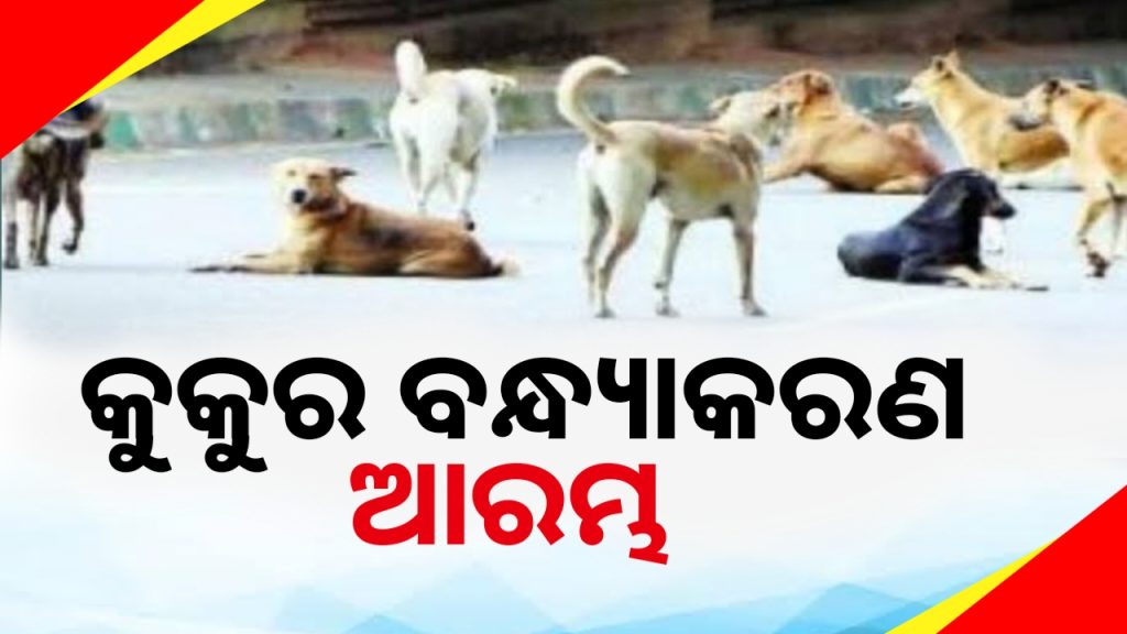 ଭୁବନେଶ୍ୱରରେ ଆରମ୍ଭ ହେଲା କୁକୁର ବନ୍ଧ୍ୟାକରଣ