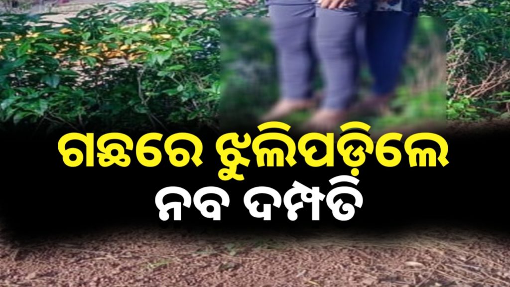 ଦେଢ଼ ମାସ ତଳେ କରିଥିଲେ ପ୍ରେମ ବିବାହ। ଏବେ ଦୁହେଁ କଲେ ଆତ୍ମହତ୍ୟା ।