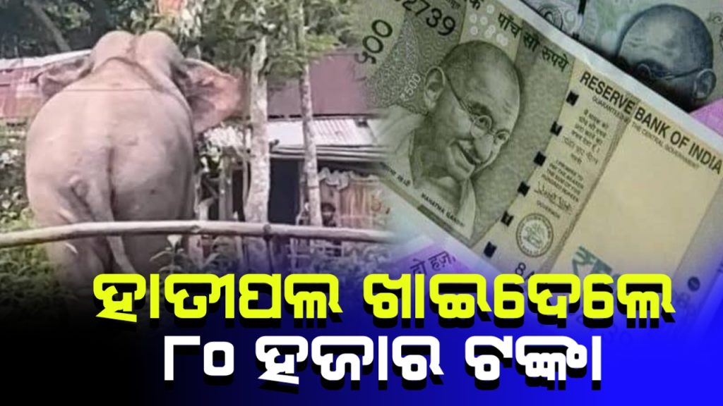 ଘର ଭାଙ୍ଗି ଧାନ ଚାଉଳ ସହ ଖାଇଗଲେ ନଗଦ ୮୦ହଜାର ଟଙ୍କା