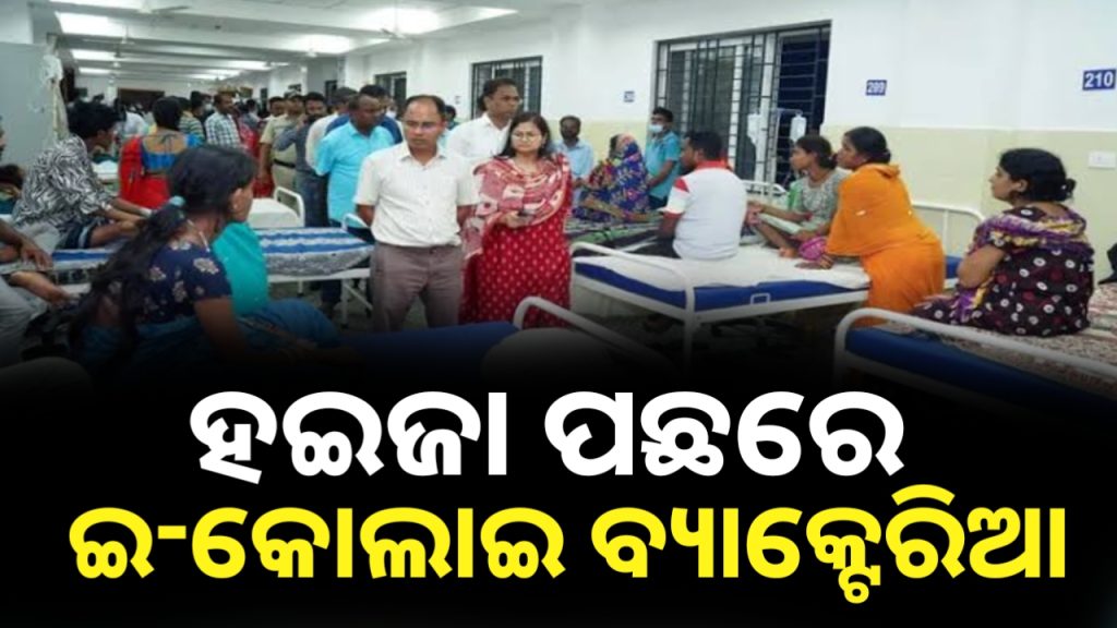 ହଇଜା ମାଡ଼ିବା ପଛରେ ଇ-କୋଲାଇ ବ୍ୟାକ୍ଟେରିଆ
