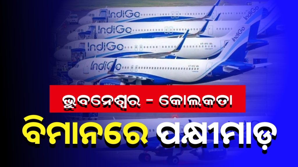 ଇଣ୍ଡିଗୋ ବିମାନରେ ମାଡ଼ ହେଲା ପକ୍ଷୀ । ବଡ଼ ଧରଣର ଦୁର୍ଘଟଣାରୁ ଅଳ୍ପକେ ବର୍ତ୍ତିଲା ୧୮୦ ଯାତ୍ରୀଙ୍କ ଜୀବନ