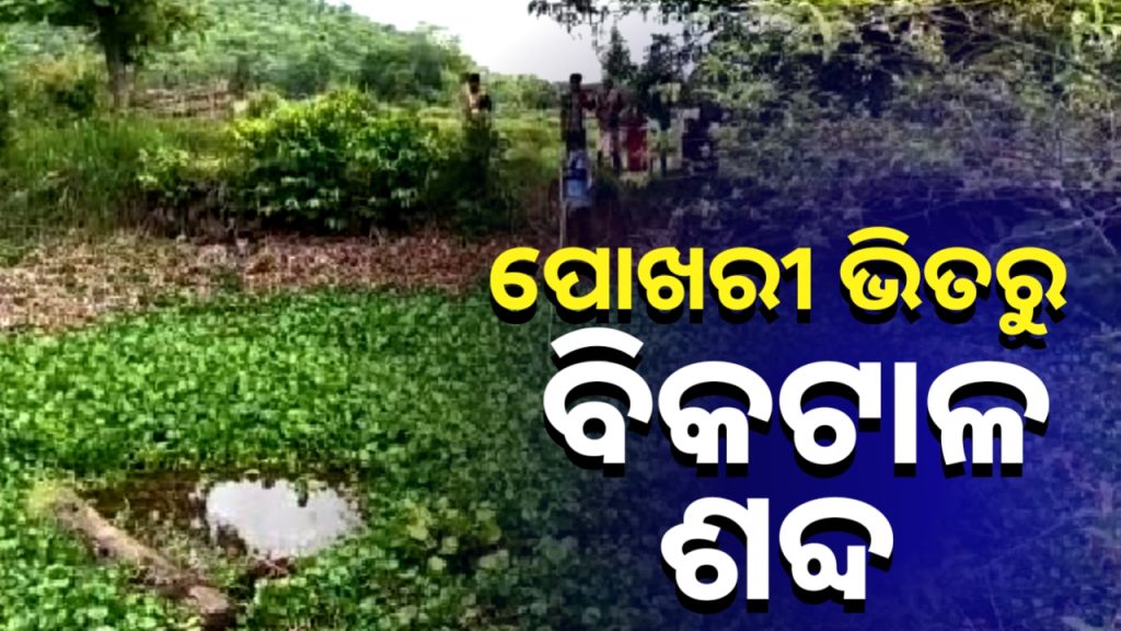 ପୋଖରୀ ଭିତରୁ ଆସୁଛି ବିକଟାଳ ଶବ୍ଦ । ଲୋକେ ଭୟଭୀତ।