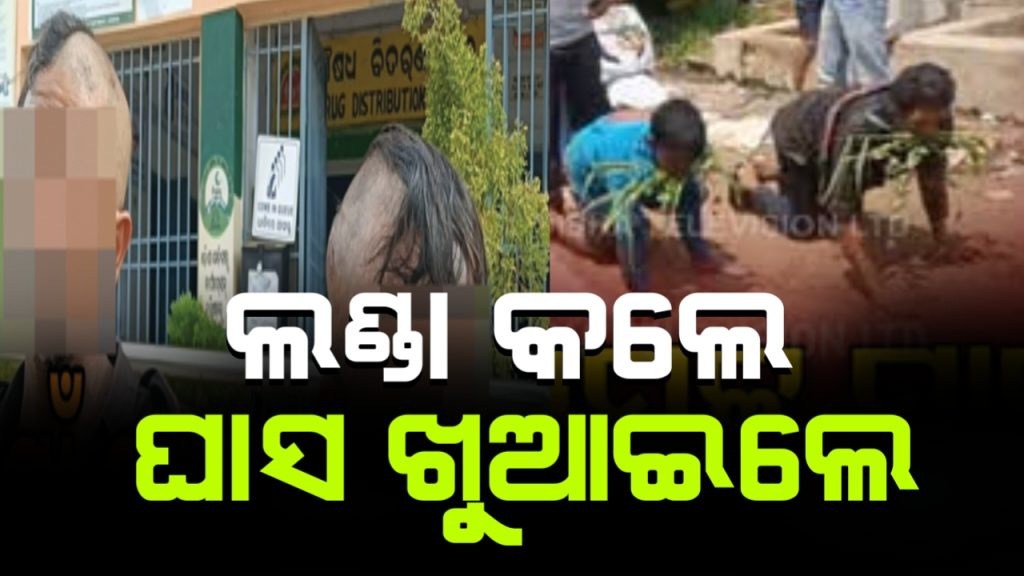 ଗାଁ ଦାଣ୍ଡରେ କଙ୍ଗାରୁ କୋର୍ଟ l ପିଟିଲେ…ଲଣ୍ଡା କଲେ…ପାଟିରେ ଘାସ ଦେଇ ବୁଲାଇଲେ