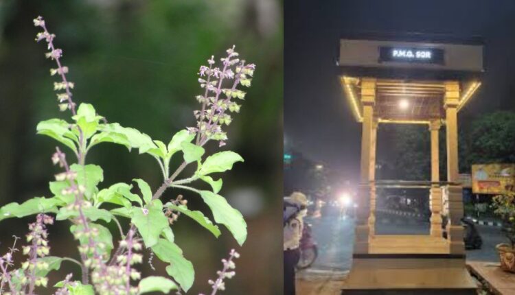 ସବୁ ଟ୍ରାଫିକ୍ ପୋଷ୍ଟ ନିକଟସ୍ଥ ଡିଭାଇଡରରେ ଲାଗିବ ତୁଳସୀ ଗଛ