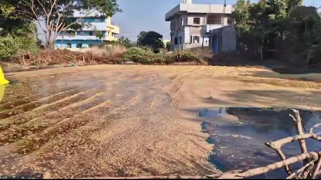 ପିଏଚଡି ପାଇପ ଫାଟିଯିବାରୁ ପ୍ରାୟ ୭୦୦ ବସ୍ତା ଧାନ ପାଣିରେ ଭିଜି ନଷ୍ଟ