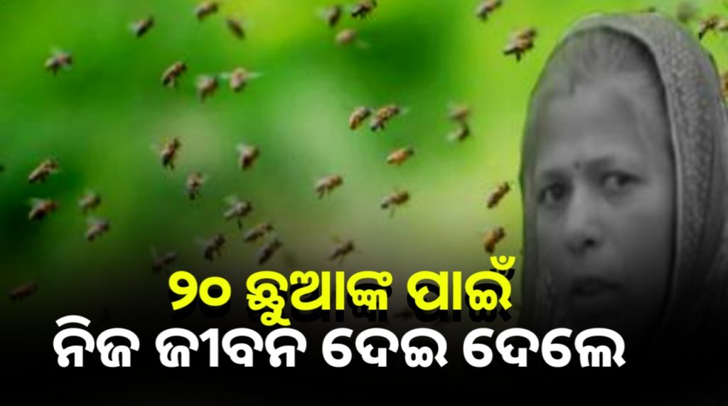 ୨୦ ଶିଶୁଙ୍କ ଜୀବନ ରକ୍ଷା କଲେ ଅଙ୍ଗନବାଡ଼ି ରୋଷେୟା କିନ୍ତୁ ନିଜେ ମୃତ