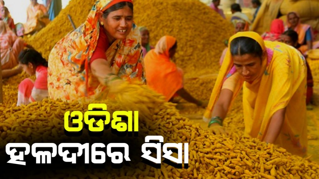 ଓଡ଼ିଶା ହଳଦୀରେ ସିସା ଖୋଜିବ ‘ହୁ’