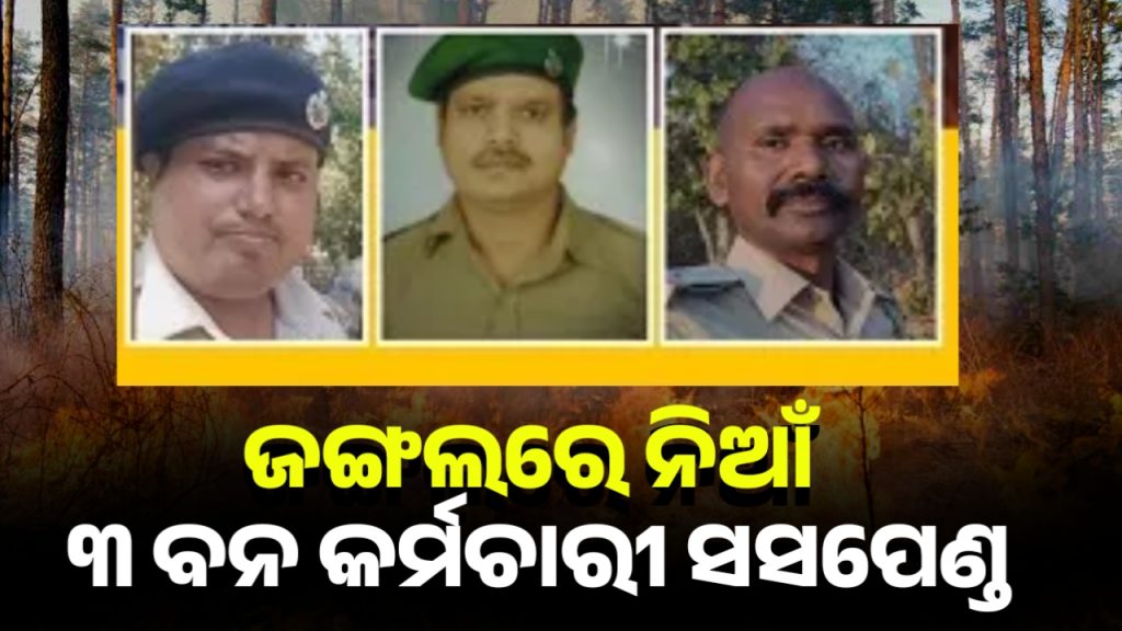 ମହଙ୍ଗା ପଡିଲା କାର୍ଯ୍ୟରେ ଅବହେଳା,୩ ବନ କର୍ମଚାରୀ ସସପେଣ୍ଡ
