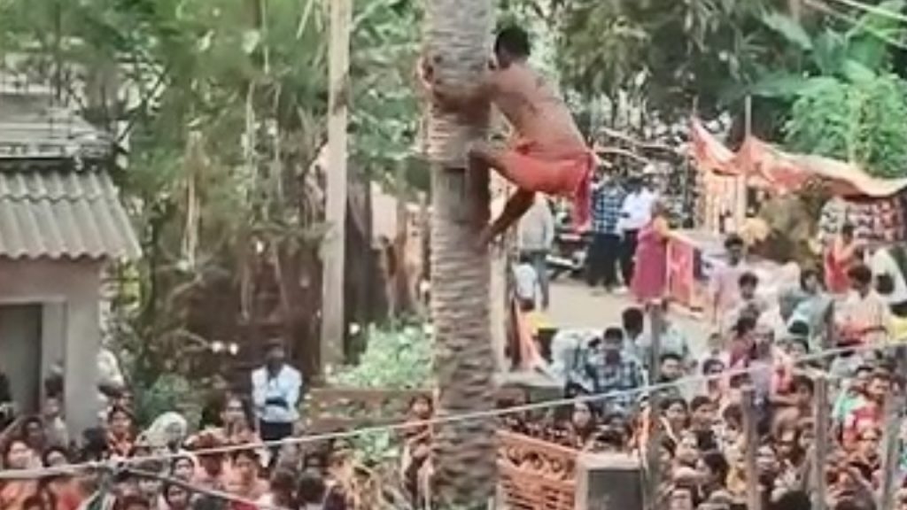 ଖଜୁରୀ ଗଛରେ ଚଢ଼ି ପୂଜା କରିବା ହେଲା କାଳ । ୨୦ ଫୁଟ ତଳକୁ ଖସିପଡ଼ି ଯୁବକ ମୃତ