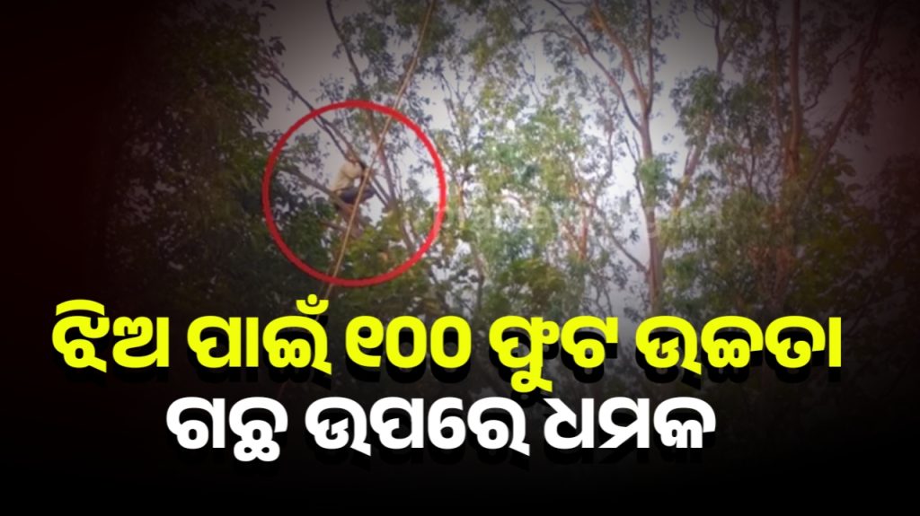 ପ୍ରେମିକା ପାଇଁ ୧୦୦ ଫୁଟ ଉଚ୍ଚ ପଟାସ ଗଛରେ ଚଢି ଆତ୍ମ ହତ୍ୟା ଧମକ ଦେଲେ ଯୁବକ