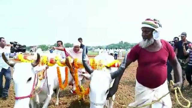 କଟକ ସ୍ଥିତ CRRI କ୍ୟାମ୍ପସ ମଧ୍ୟରେ ଅଖିମୁଠି ଅନୁକୂଳ କରିଛନ୍ତି ମୁଖ୍ୟମନ୍ତ୍ରୀ