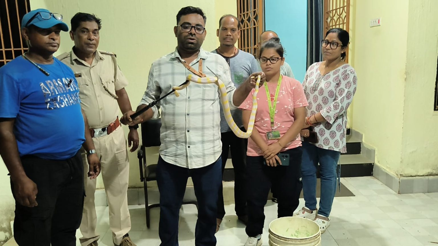 ଭଦ୍ରକରୁ ବିରଳ ଆଲବିନୋ ରଣା ଉଦ୍ଧାର
