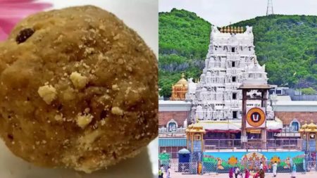 ତିରୁପତି ଲଡ଼ୁ ଘିଅରେ ପାମ୍ ଅଏଲ୍! ଇଡି ଜାଲରେ ଫୁଡ୍ସ ପ୍ରମୋଟର