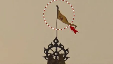 ପୁଣି ଶ୍ରୀମନ୍ଦିର ନୀଳଚକ୍ର ଉପରେ ବସିଲା ଚିଲ !ଶୁଭ କି ଅଶୁଭ ତାହାକୁ ନେଇ ବିଭିନ୍ନ ମହଲରେ ଚର୍ଚ୍ଚା